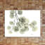 Eucalyptus - L257 - Wrapped Canvas Print-1768979809