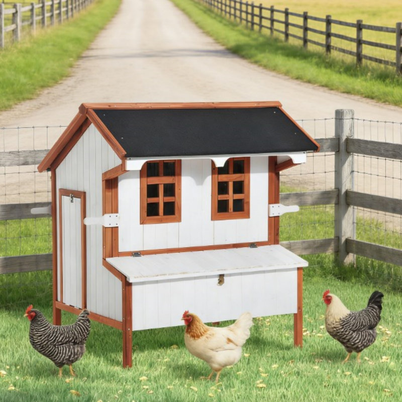 Poulailler 43 po en bois pour 3 à 5 poules, avec plateau coulissant et fenêtre en verre