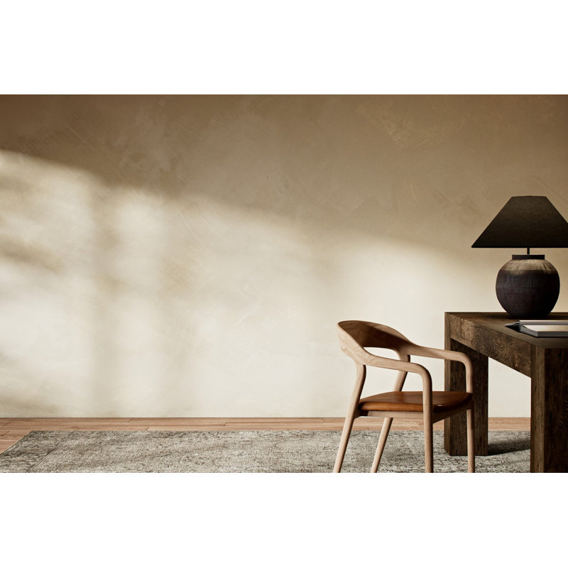 Limewash Terralon Wallpaper Roll by FH Art Studio, White/Neutral
