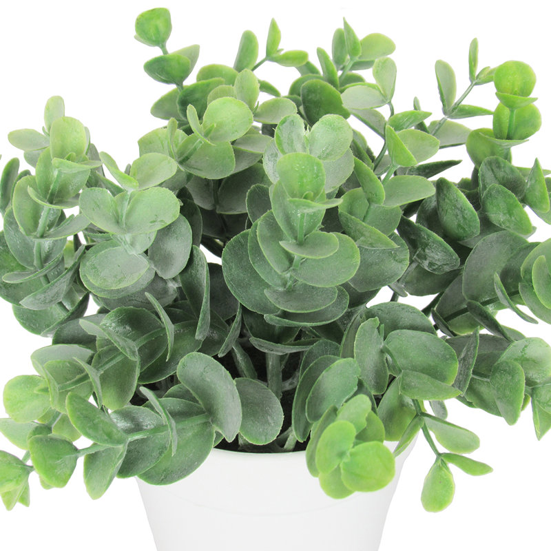 Eucalyptus artificiel 3,5 po en pot, Blanc