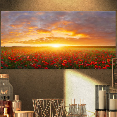 " Poppy Field Under Bright Sunset "