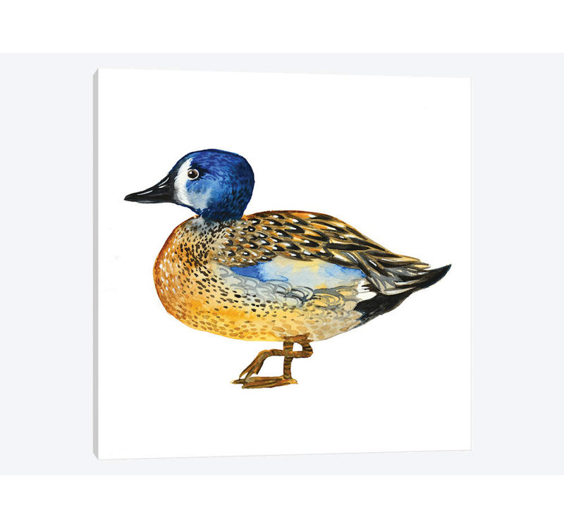 « golden duck », impression sur toile tendue, H 12 po x l 12 po x P 0,75 po