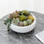 Fausse plante grasse en pot 4,3 po