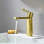 Robinet pour salle de bain à poignée simple Paula-110897511