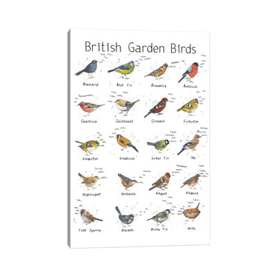 British Garden Birds by Michelle Campbell - Wrapped Canvas Gallery-Wrapped Canvas Giclée