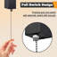 1-Light Sunrise Black LED Flush Mounted Sconce