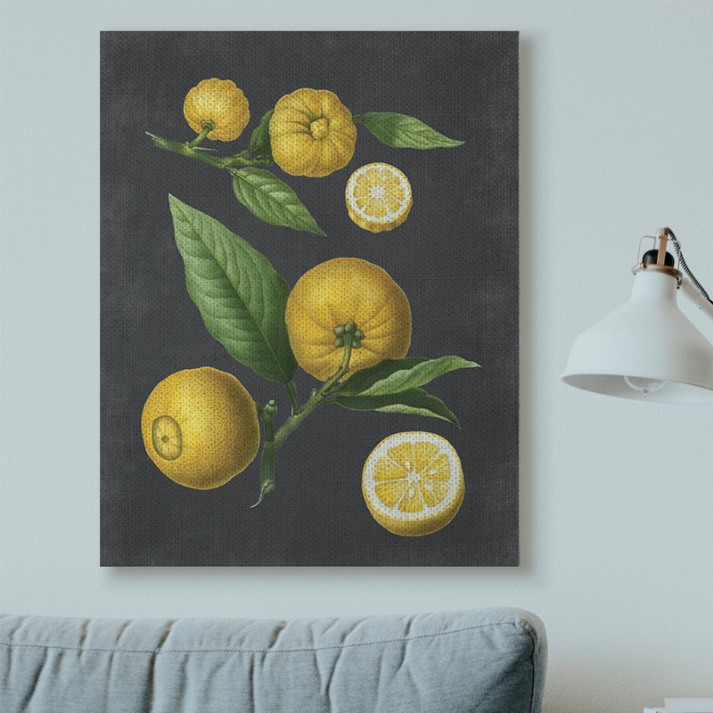 «Botanical Dessin Lemons On Black Design», impression, Toile tendue, H 48 po x l 36 po