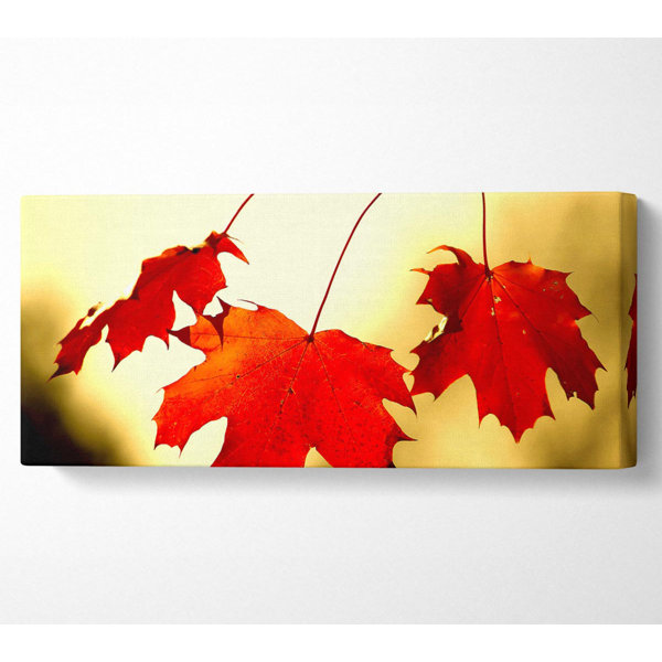 Ebern Designs Red Oak Leaves Close Up - Wrapped Canvas Art Prints ...