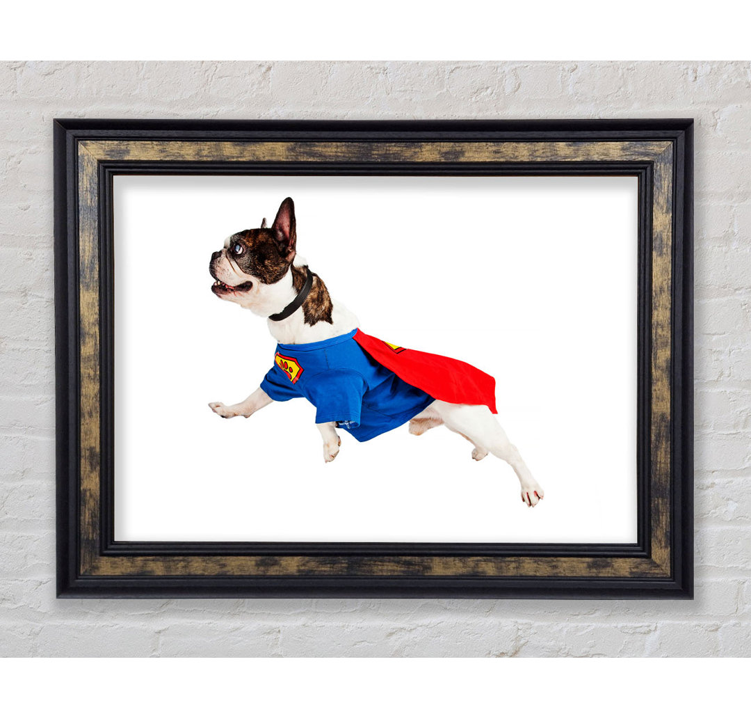 Super Dog - Einzelner Bilderrahmen Kunstdrucke