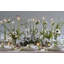 Tealight Candle Holder-869816471