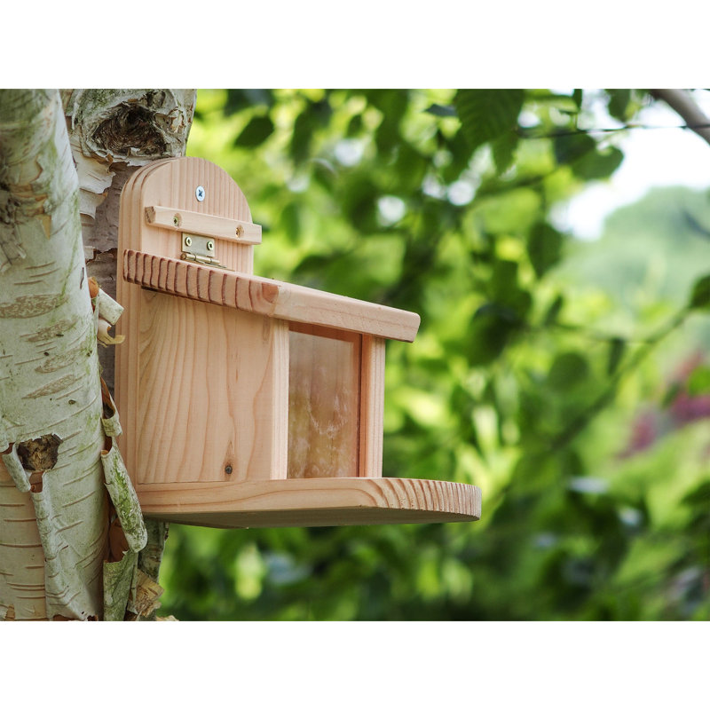 Ardos Squirrel Feeder