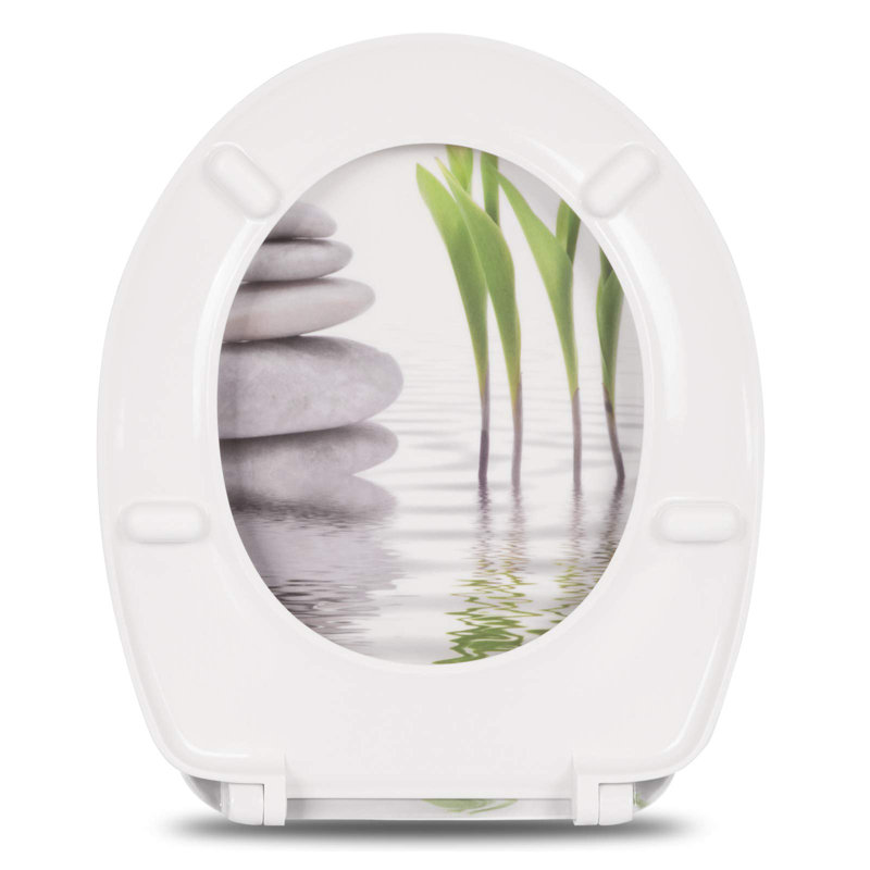 Dejanna Soft Close Elongated Standard Toilet Seat