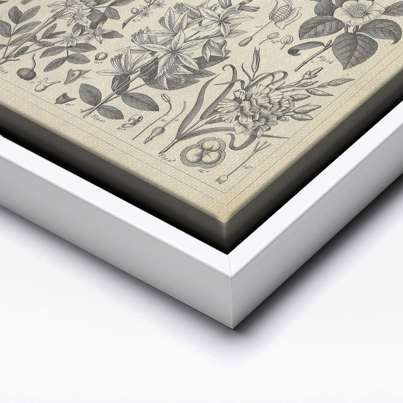 Plantes ornementales en culture, Canvas, White Framed, 08"H x 10"W