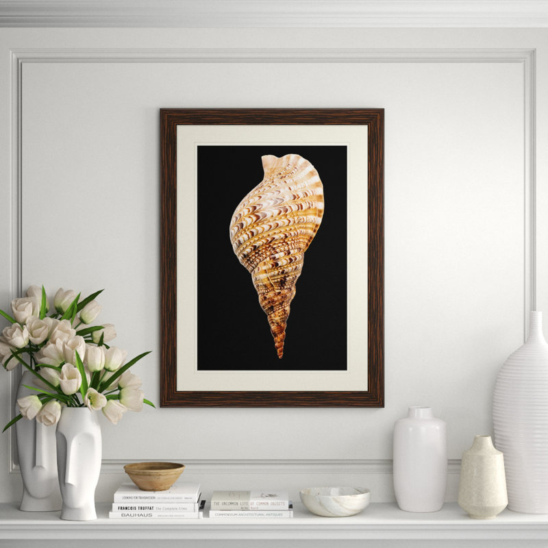 Large Shell 5 Print