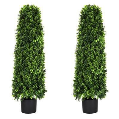 Rosecliff Heights 4' Tower Tree - English Boxwood - 2 Pack