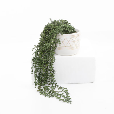 Plante grasse artificielle 15,5 po en pot