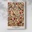Wm Morris Series C - Cavas enveloppés de galerie-1734996752