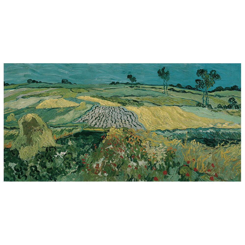 Leinwandbild Ebene bei Auvers von Vincent Van Gogh