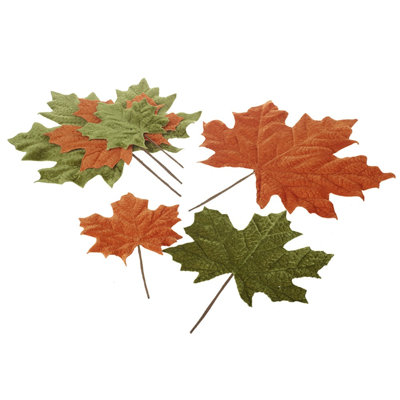 Decorative Autumn Leaf Set