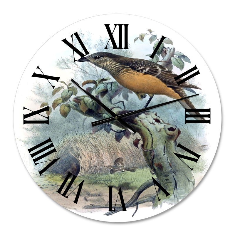 Une monographie des oiseaux du paradis - Horloge murale traditionnelle, Petit