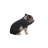 Sitting Baby Pig Statue-16443395