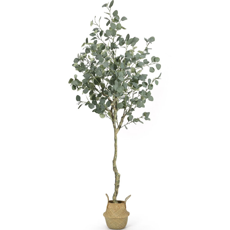 Arbre d'eucalyptus artificiel 6 pi de hauteur, H 72 po x l 6 po x P 6 po