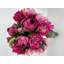 Grande et élégante pivoine rose / magenta