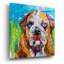 «Bull Dog» par St. Hilaire Elizabeth-594653135