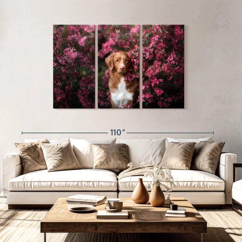 Toller dans le jardin