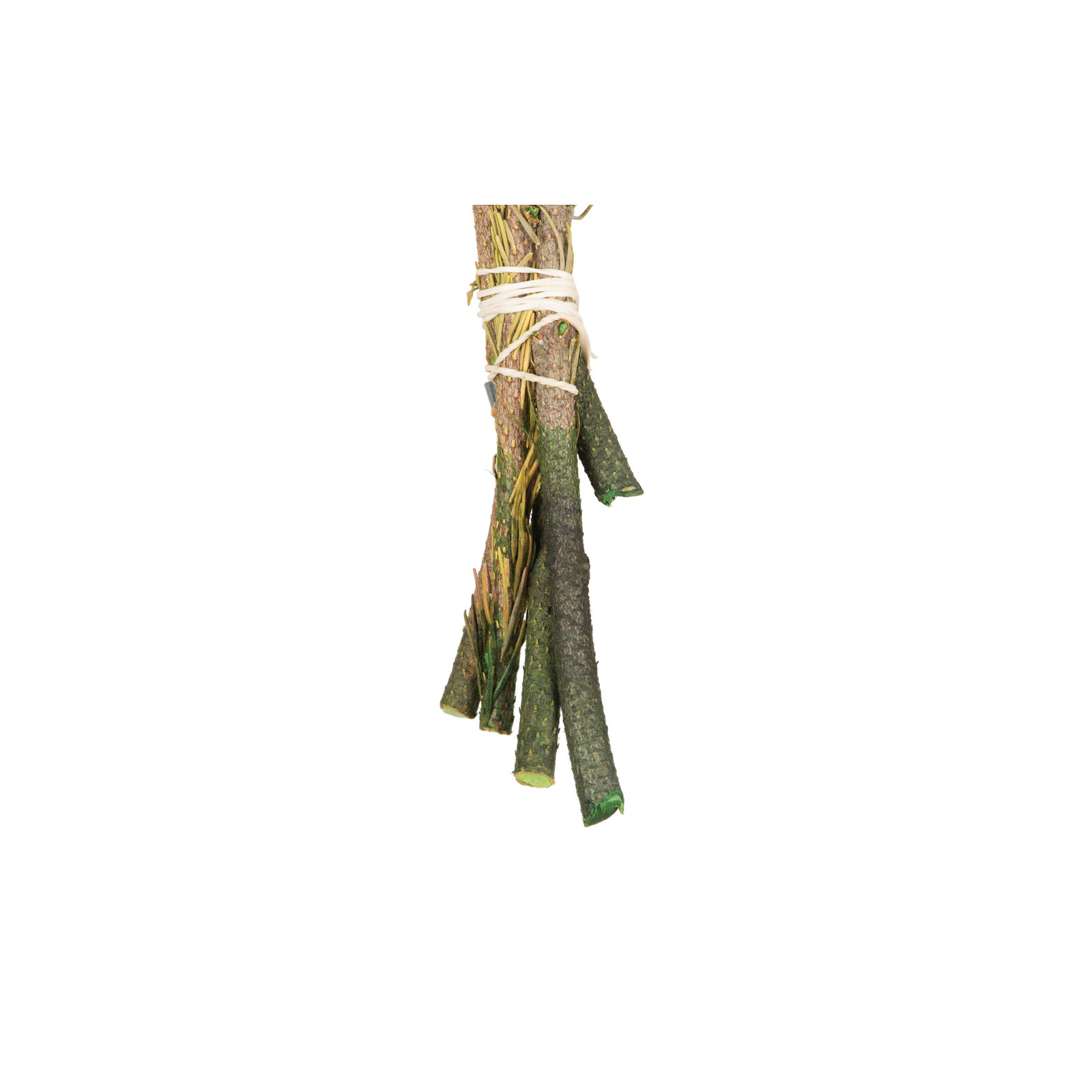 12-16" Natural Green Brunia, 4 oz Bundle, Preserved