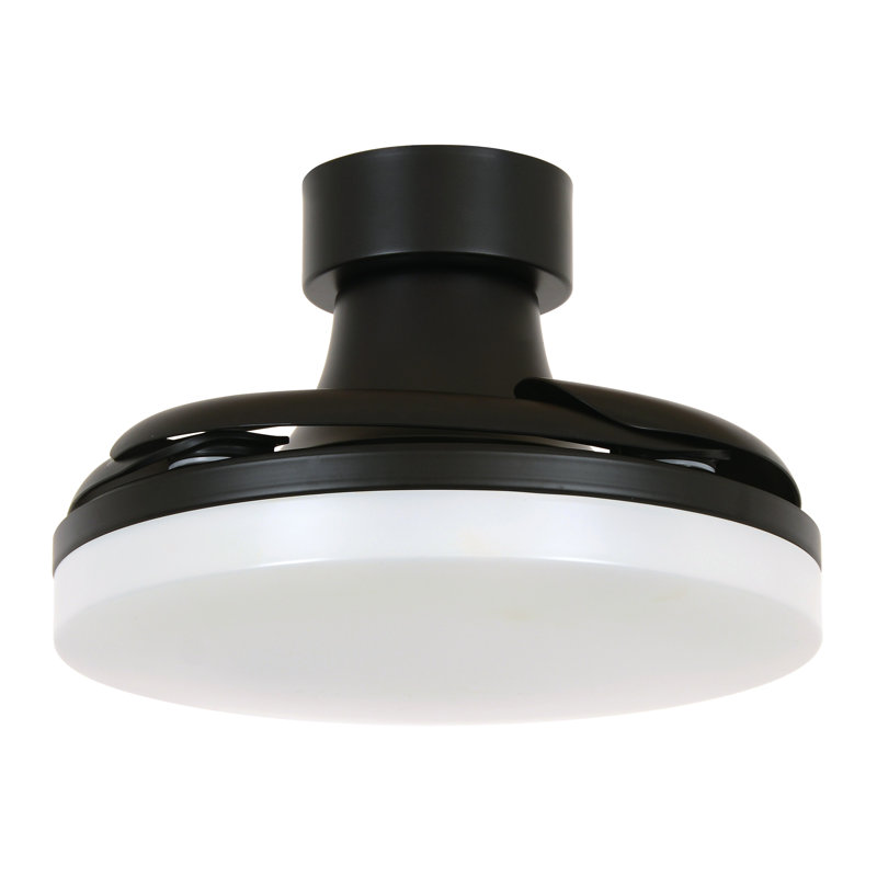Adilene 92cm Ceiling Fan with LED Lights, Black, Black
