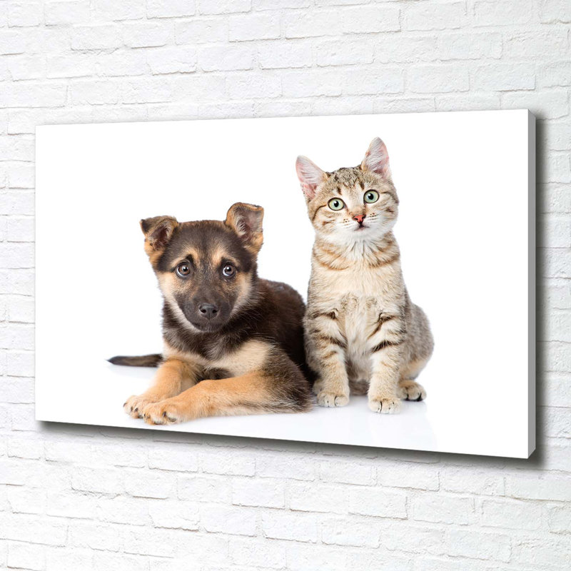 Dog And Cat - No Frame Print on Canvas