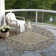 Machine Washable Indoor/Outdoor Cicel ACN1151 Charcoal Rug