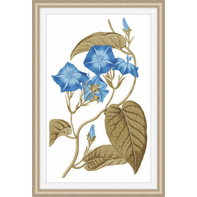 Midsummer Zeal 3 Print by Art House Studios