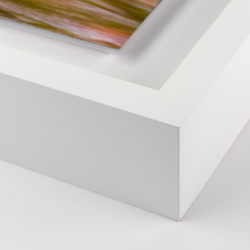 Slither Print by Shawn Thomas, White, 18" H x 24" W x 1.5" D