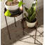 Support pour plante Malachy-1702073426