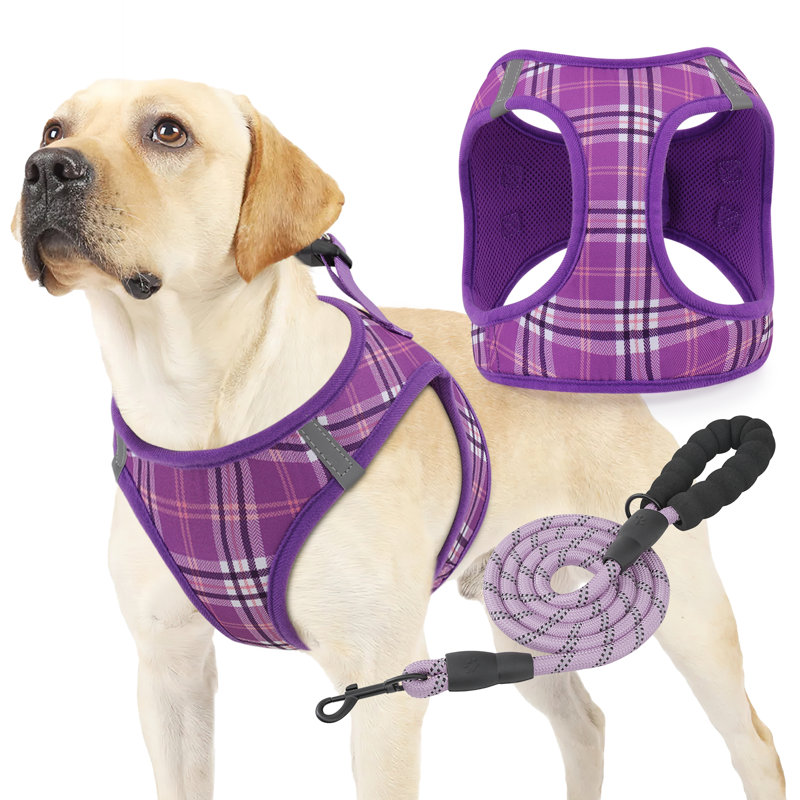 Harnais réglable pour chien avec laisse Gesemyer, Mauve