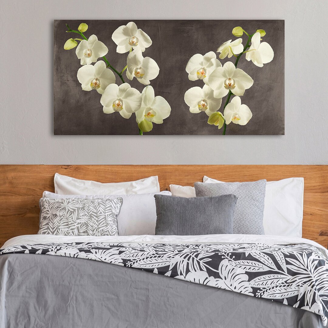 Leinwandbild Orchids on Grey Background von Andrea Antinori