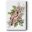 Cardinal Holly Christmas Collection B-114145131
