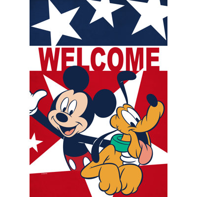 Double Sided 40'' H x 28'' W Polyester House Flag
