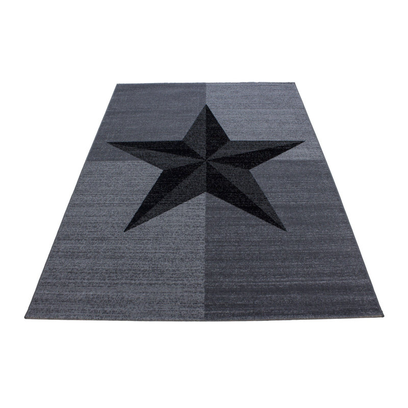 Tapis noir / gris tissé à la machine Drusus, Rectangle 2 pi 7 po x 4 pi 11 po