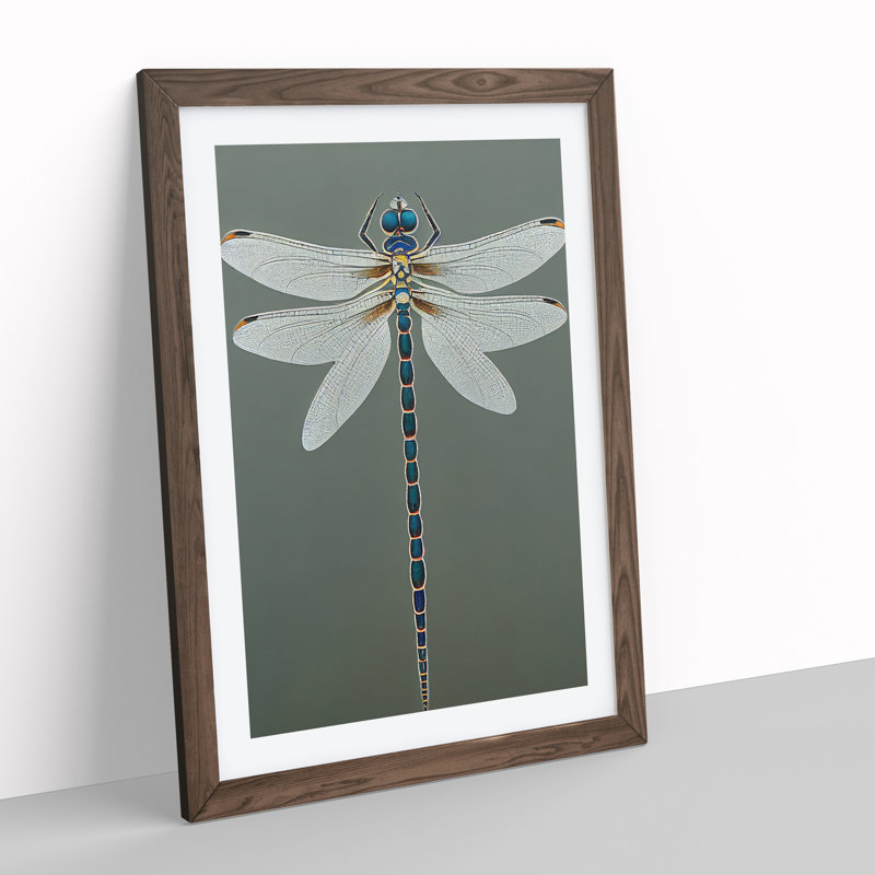 Breathtaking Dragonfly - Single Picture Frame Print, Walnut, 64cm H x 46cm W x 2cm D