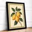 Lemon Branch in Gold Botanical - Framed Print-1156709064-1156709071