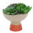 7.75'' Faux Succulent Plant in Ceramic Planter-90406965