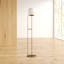 Kanesha 145cm Antique Brass Novelty Floor Lamp