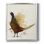 Toile encadrée de qualité supérieure Pheasant Splash 8 - prête à être accrochée-692426754-692426782