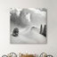 Photographie de poudre fraîche-32971875-33511686