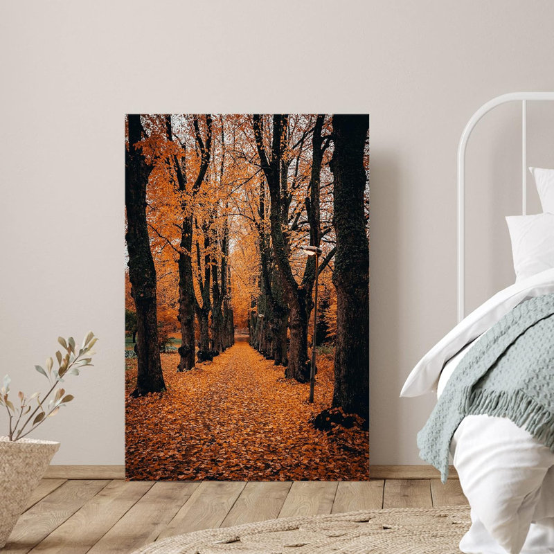" Autumn Path Natureest "