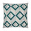 Dublin Pillow Cover & Insert-73411571-114601285