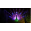 Noma Outdoor Percy Peacock Wall Light, Multicolour, Battery Operated with Timer